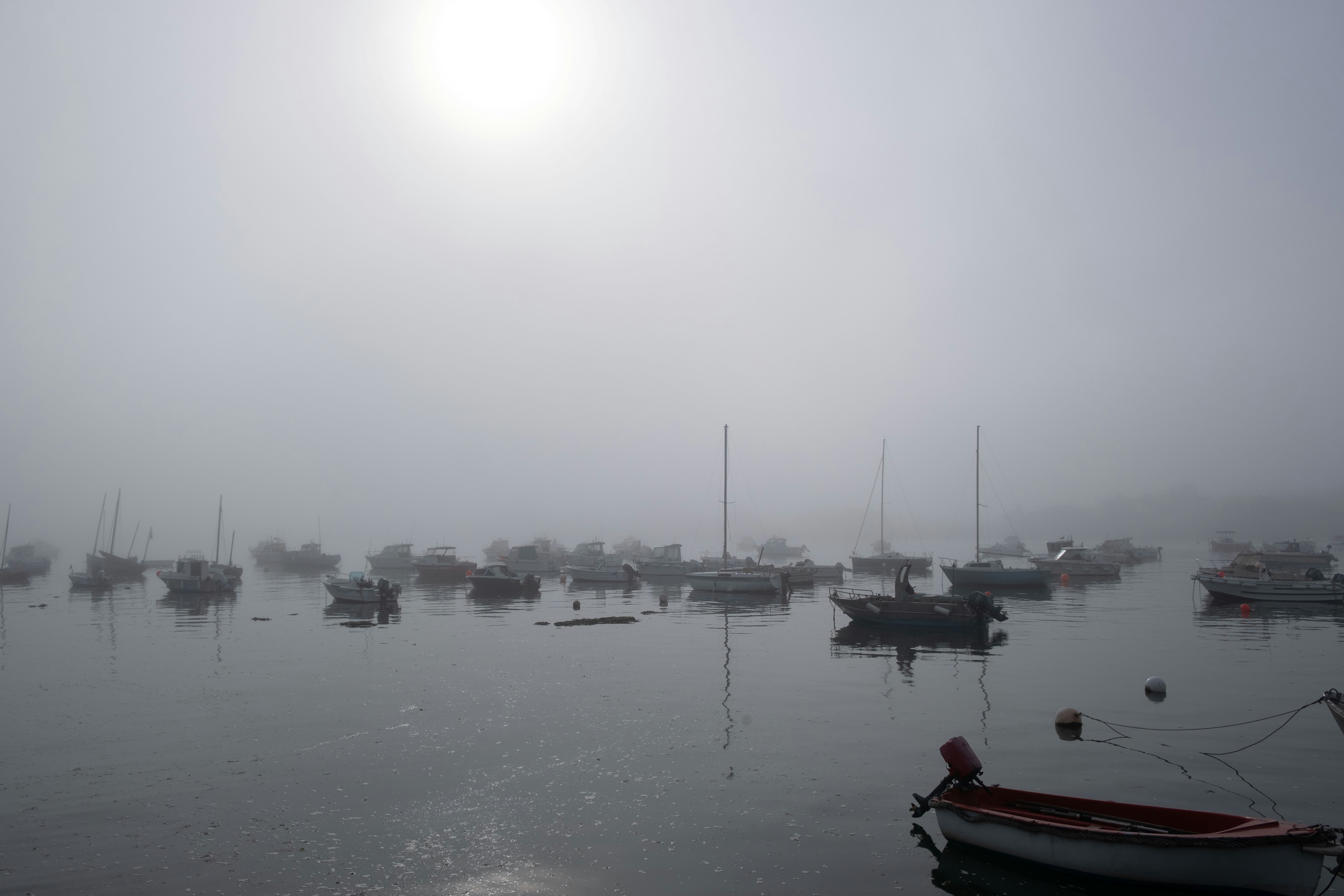 Un port de bateaux amarrés dans la brume aux premières lueurs